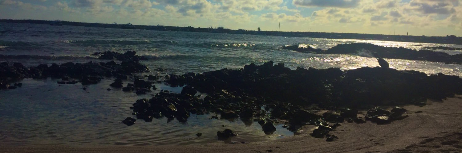 Carla Samanta Montero banner