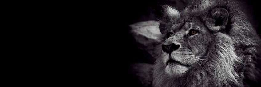 cglarby's profile banner image
