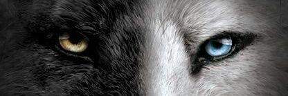 ilker2996's profile banner image
