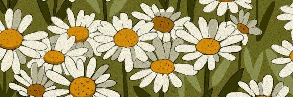 thatsalvan's profile banner image