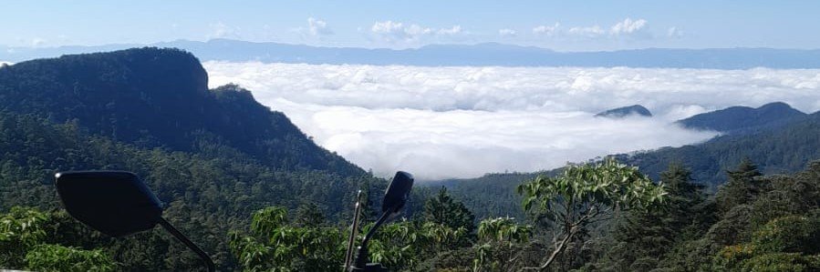 arthurwendel2's profile banner image