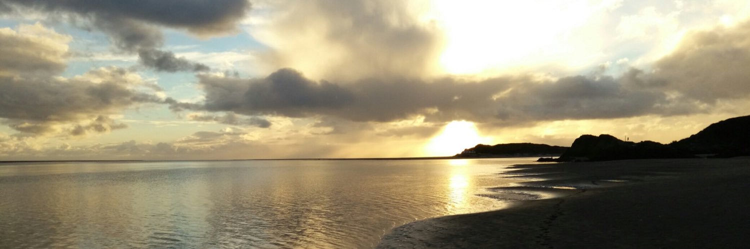jannytay's profile banner image