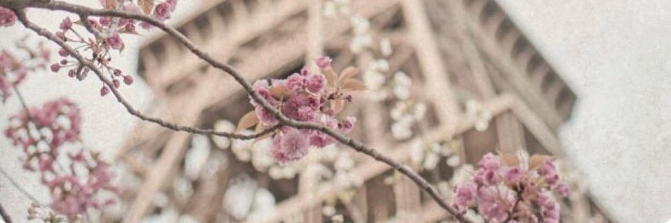 radiant_127's profile banner image