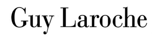 guylaroche's profile banner image