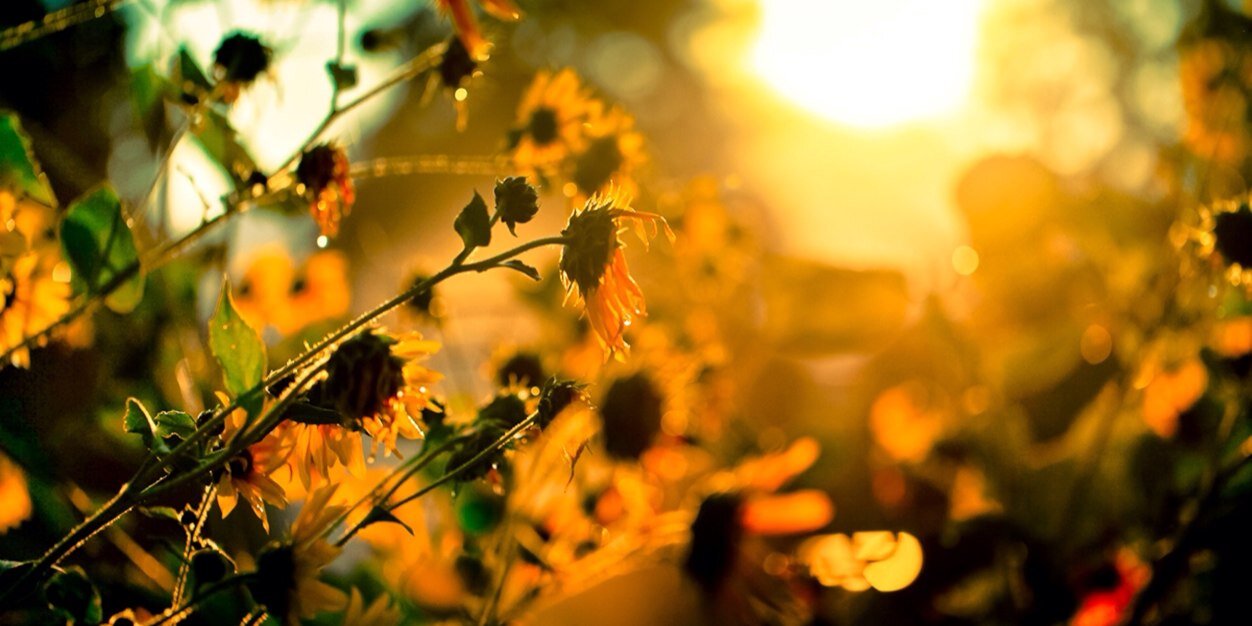 ZenTeenServices's profile banner image