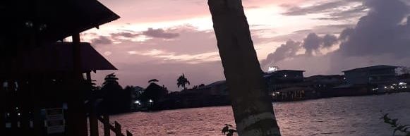 Peppernetts💫 banner