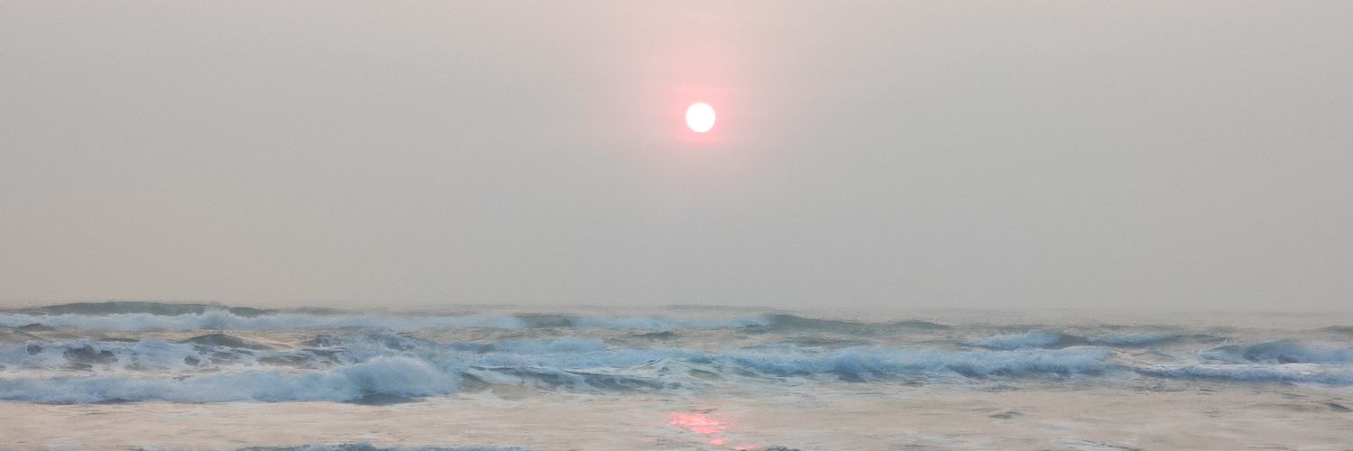 Rocio19801's profile banner image
