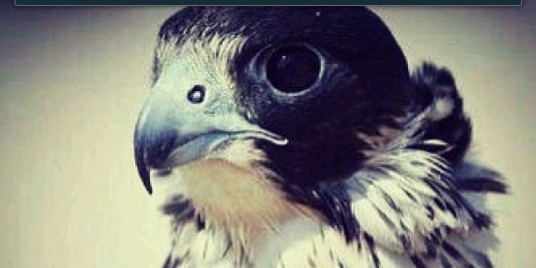 oldkw_s3oud's profile banner image