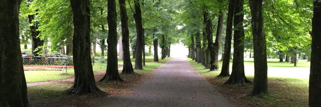 عبدالرحمن الدخيْل banner