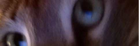 Larry Parsons banner