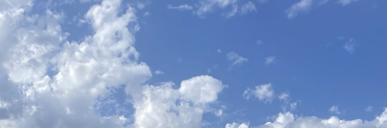 LHachin's profile banner image
