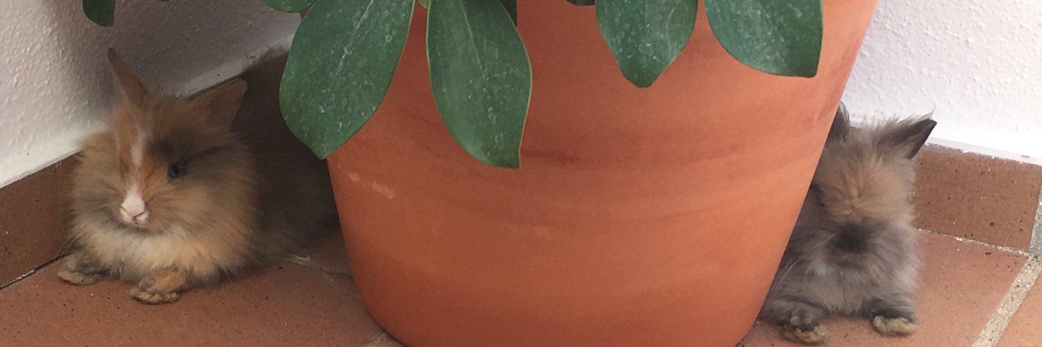 Carmeen122's profile banner image