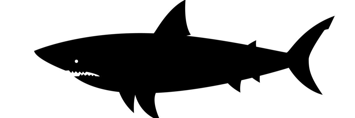 🦈EL 🐃MVRGO-ANGELO banner