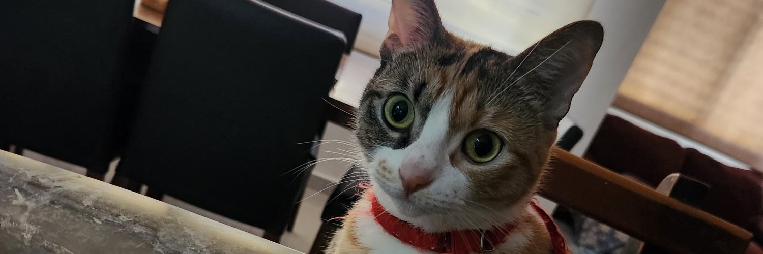__rdag's profile banner image