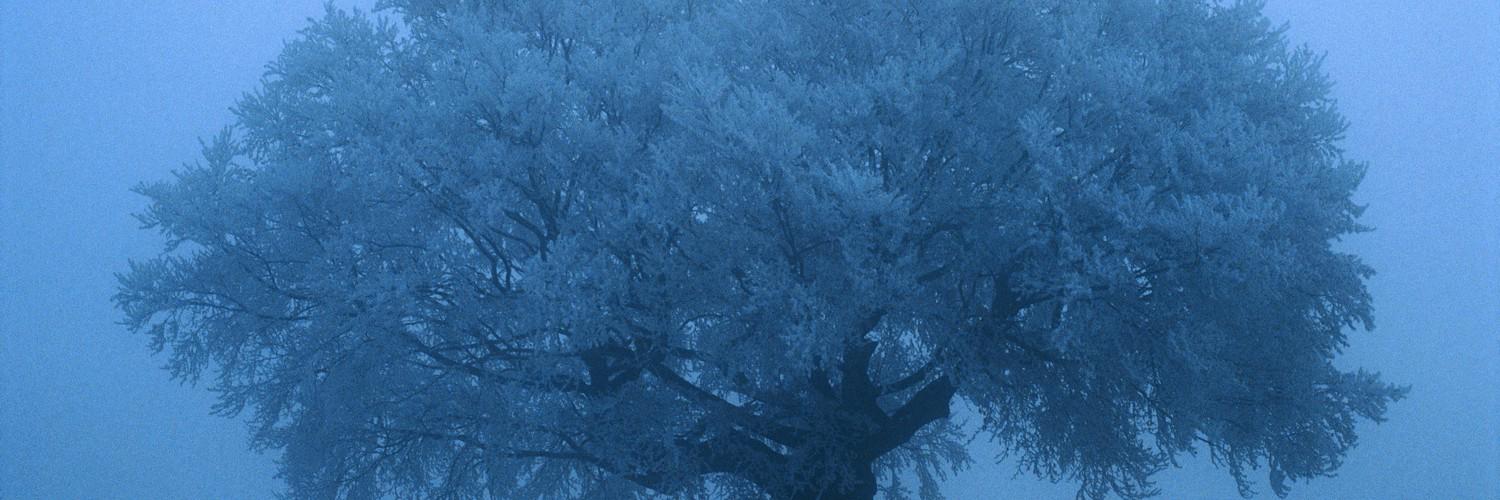 hvjs123's profile banner image