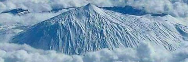 Macrinalamocha Profile Banner