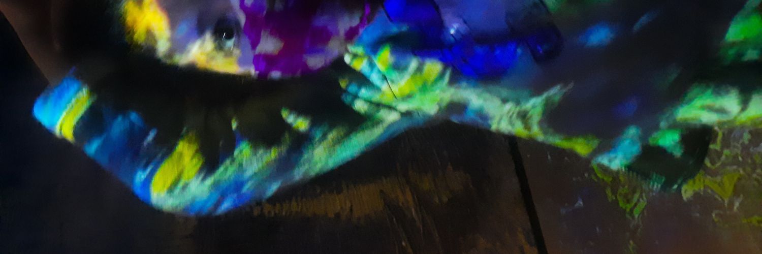 Vania Pereira banner