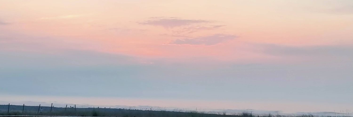 AngelaGago1's profile banner image