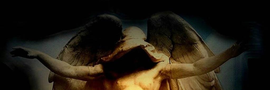 moisex95's profile banner image