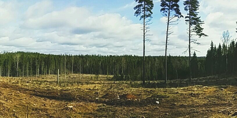 DavidJ_Bergman's profile banner image