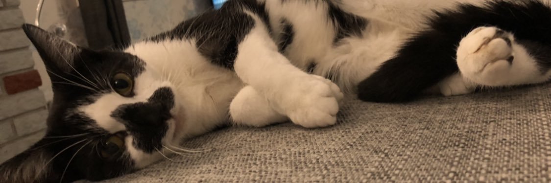 KyleMacGregor3's profile banner image