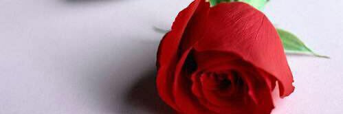 ,َابو,َرامي, banner