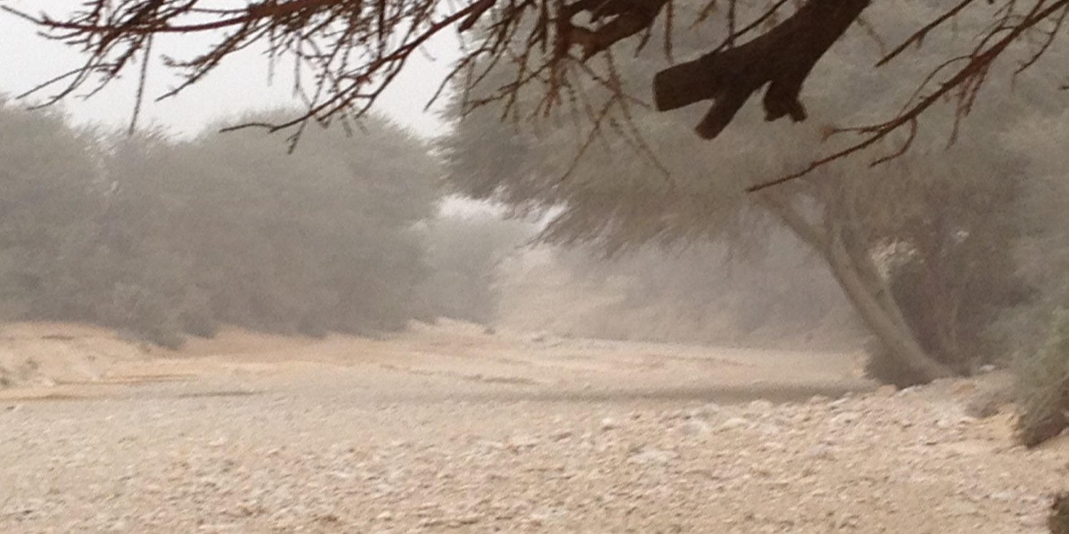 R_ALfhmi's profile banner image