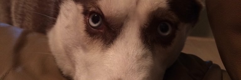 zflashy14's profile banner image
