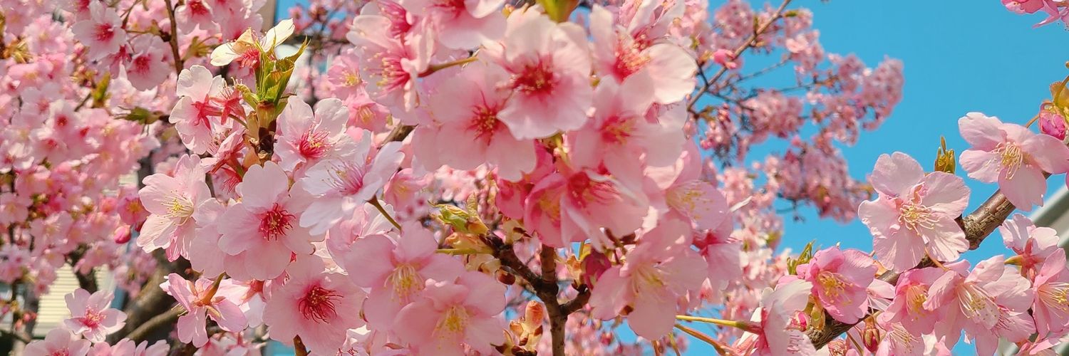 inuhamusuki's profile banner image