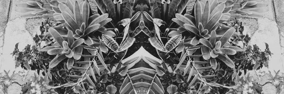 _iamhereiam's profile banner image