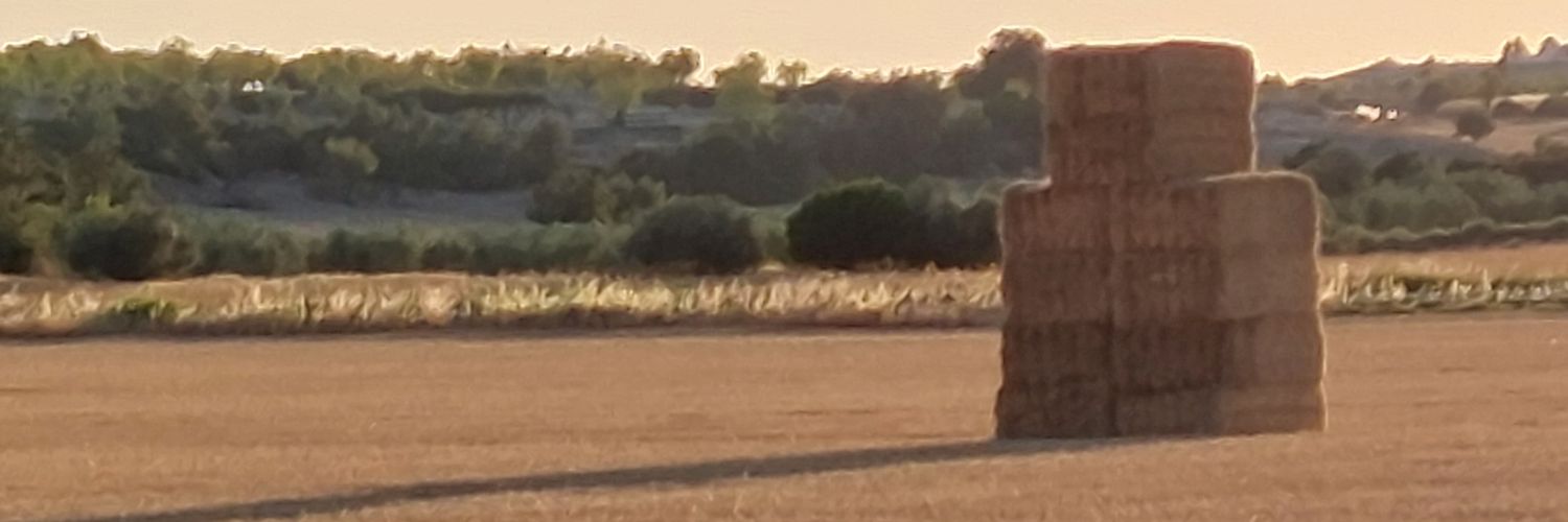 Jordi Domingo banner