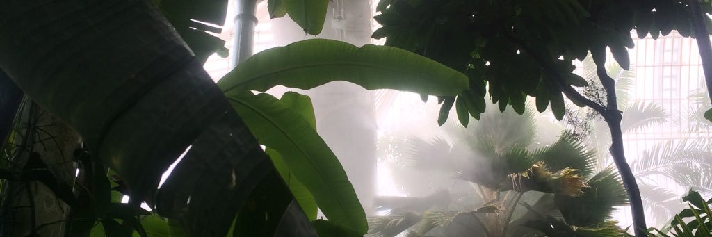 ChloeJensenD's profile banner image
