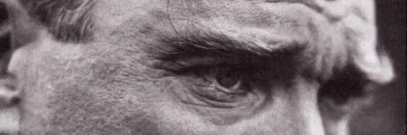 asudeterzii's profile banner image