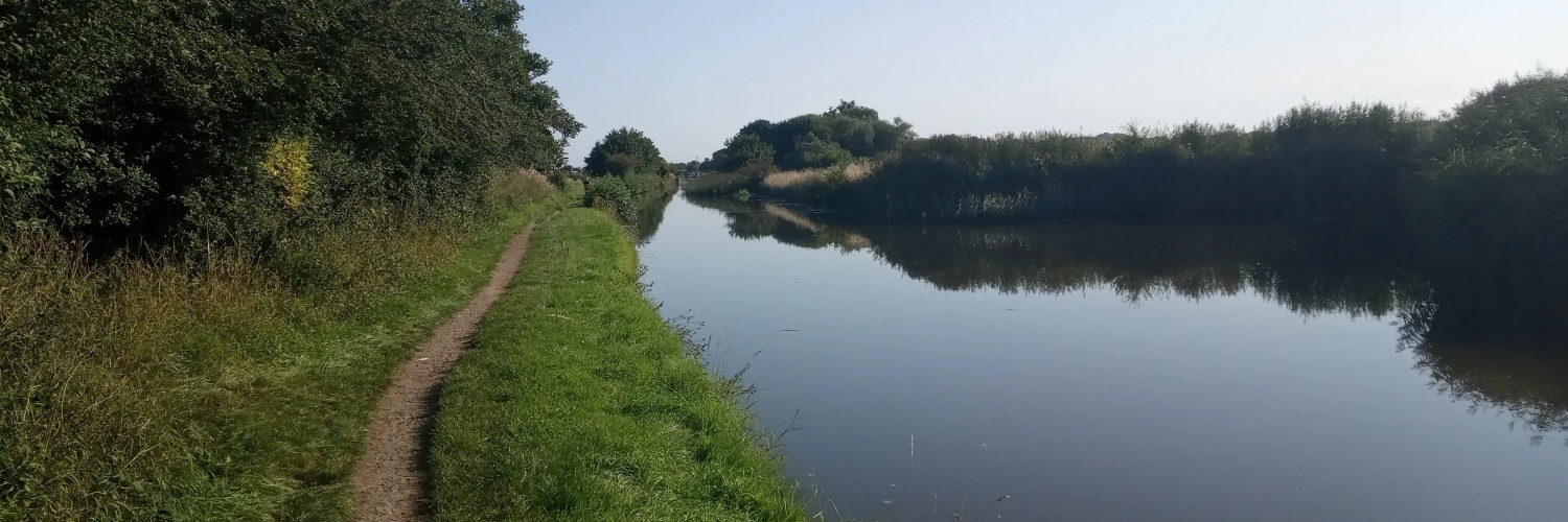 Dr. Iain Bethune banner