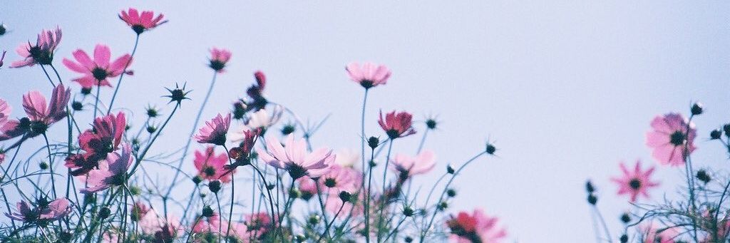 andreaglc_'s profile banner image