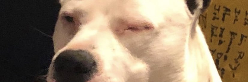 Guhrools's profile banner image