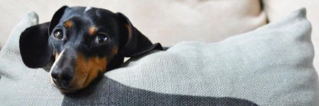 ukluner's profile banner image