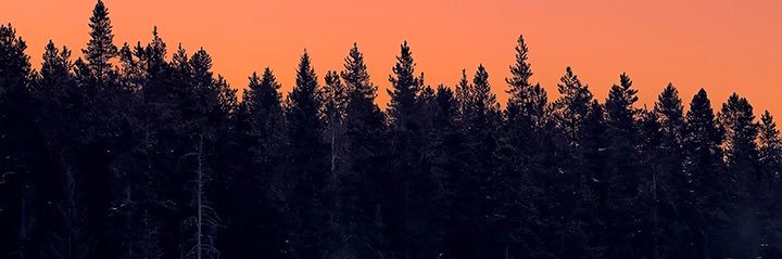 A A Ron 🍒 banner