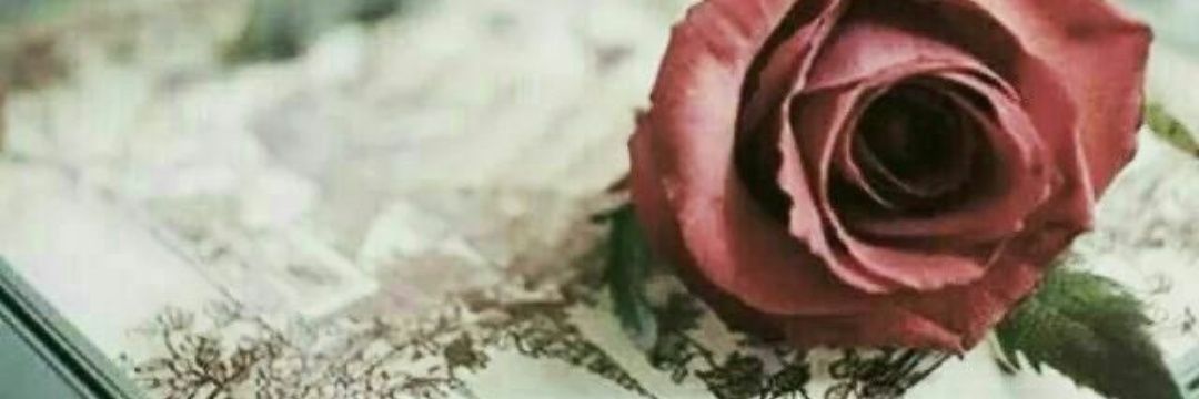 R_ALABDALLH's profile banner image