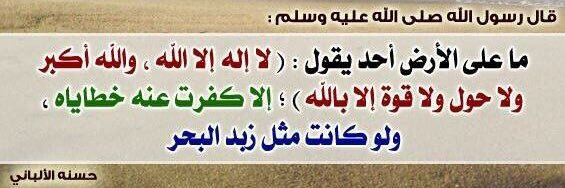 بندر بن عبدالله الحمدان 🇸🇦 banner