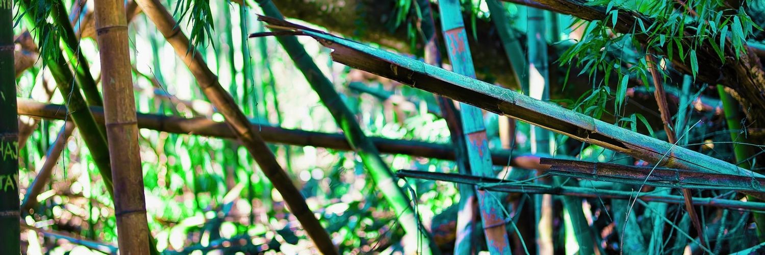 GodisNanu's profile banner image