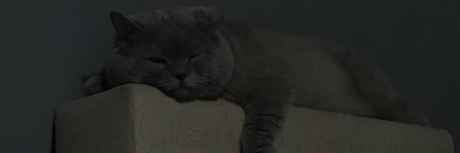 kmluzmc's profile banner image