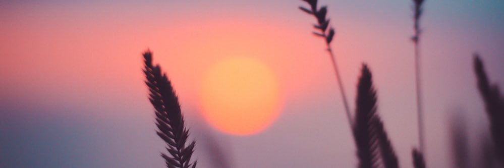 jteach07's profile banner image