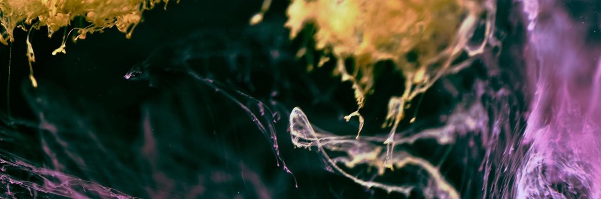 Rachel_Bert's profile banner image