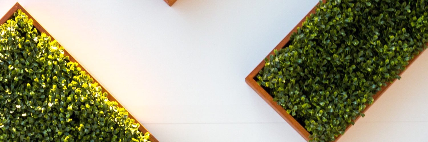 DuncunYang's profile banner image