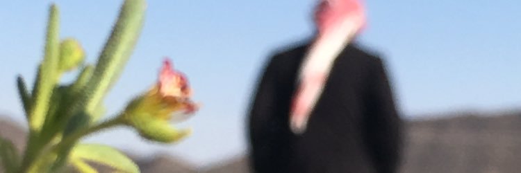 E77eg's profile banner image