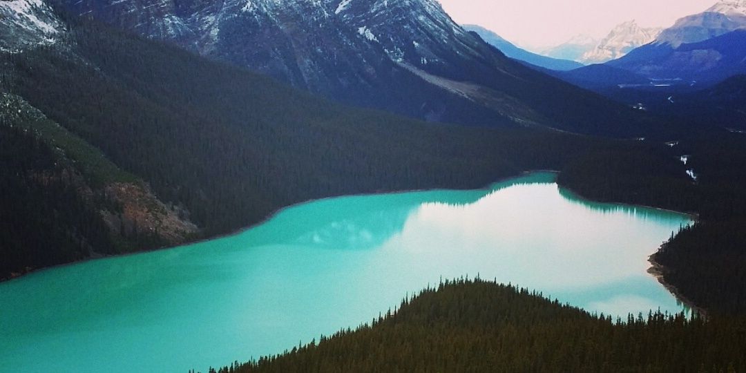 Barbara Palumbo banner