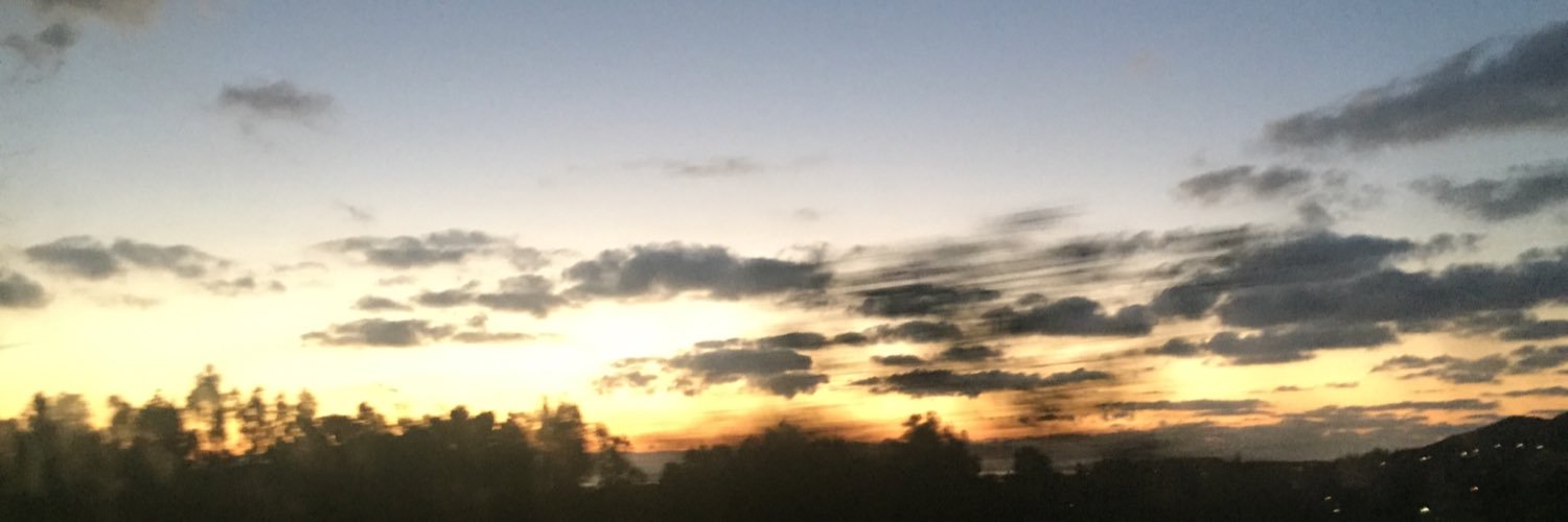swellashton's profile banner image