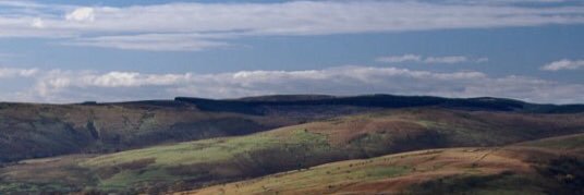 Russell Anderson banner