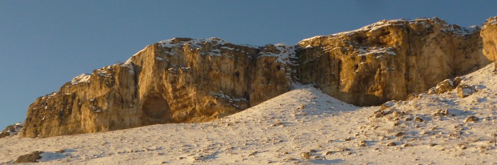 SwarmMachines banner